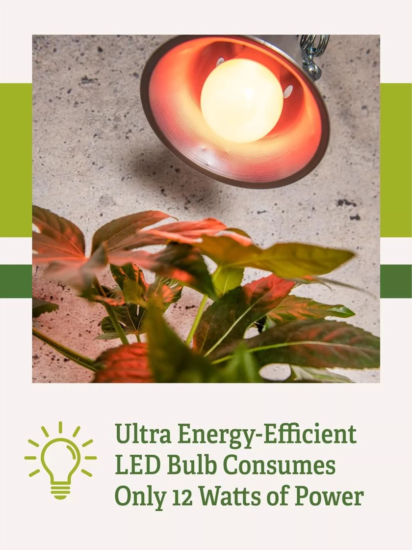 Miracle LED® Absolute Daylight™ Max Flowering Grow Light Bulb - Image 4